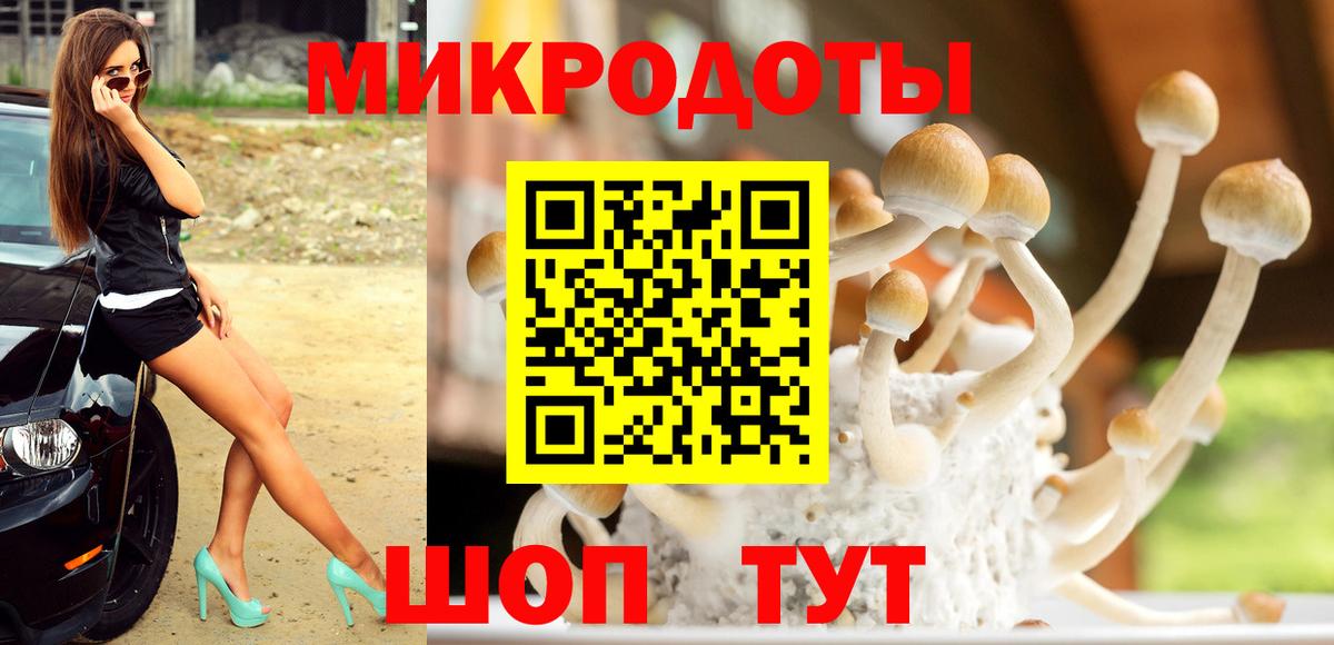 Псилоцибиновые грибы мицелий Белорецк
