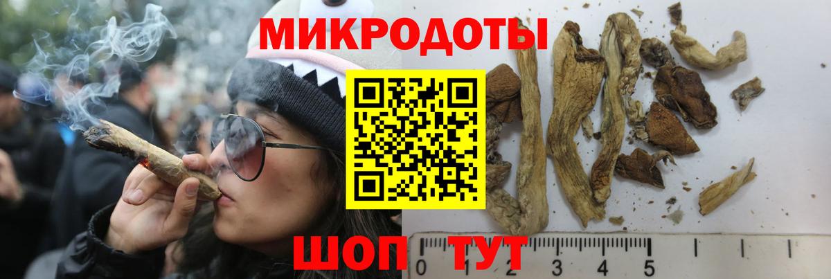 Белорецк  Псилоцибиновые грибы Psilocybe  Вход с VPN 